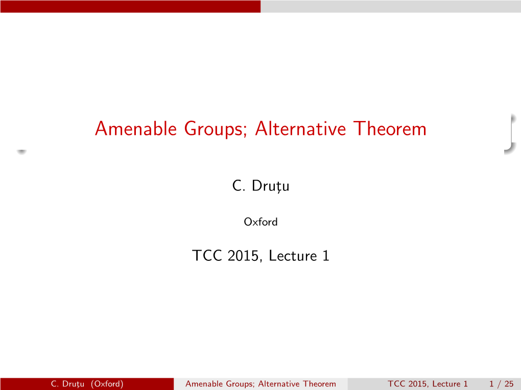 Amenable Groups; Alternative Theorem