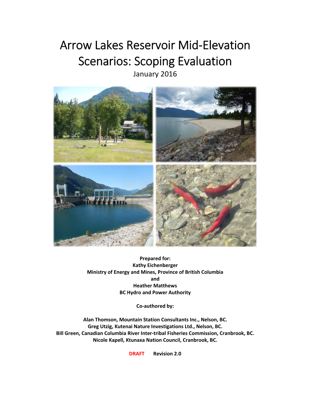Arrow Lakes Reservoir Mid-Elevation Scenarios: Scoping Evaluation January 2016