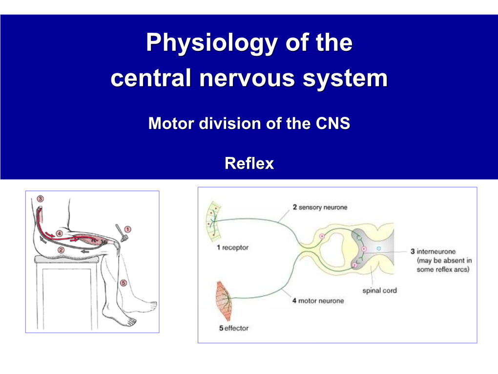 Reflex General Function of the Nervous System (NS)