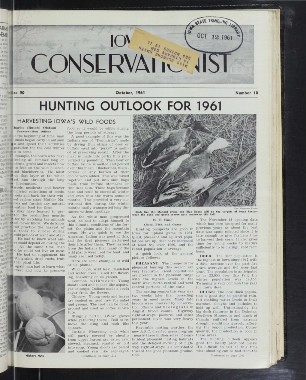 Hunting Outlook for 1961