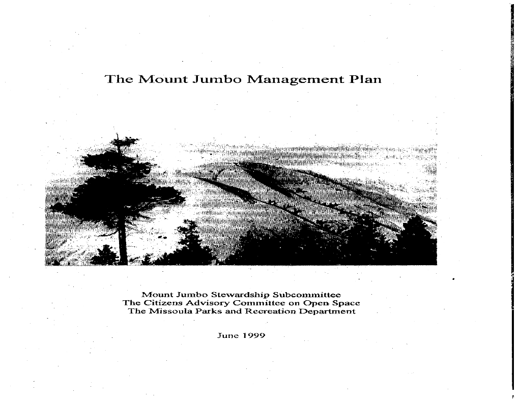 Mount Jumbo Management Plan Chapter One ¾Planning Process & Plan Elements¾