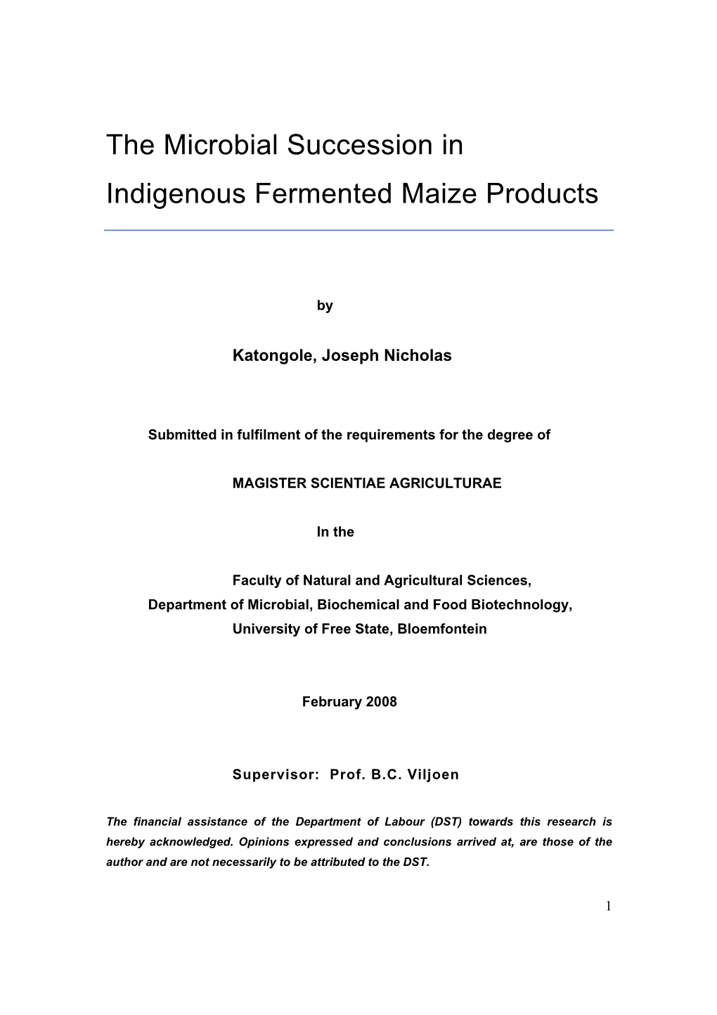 The Microbial Succession in Indigenous Fermented Maize Products