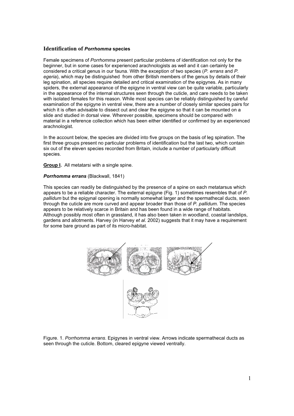 1 Identification of Porrhomma Species