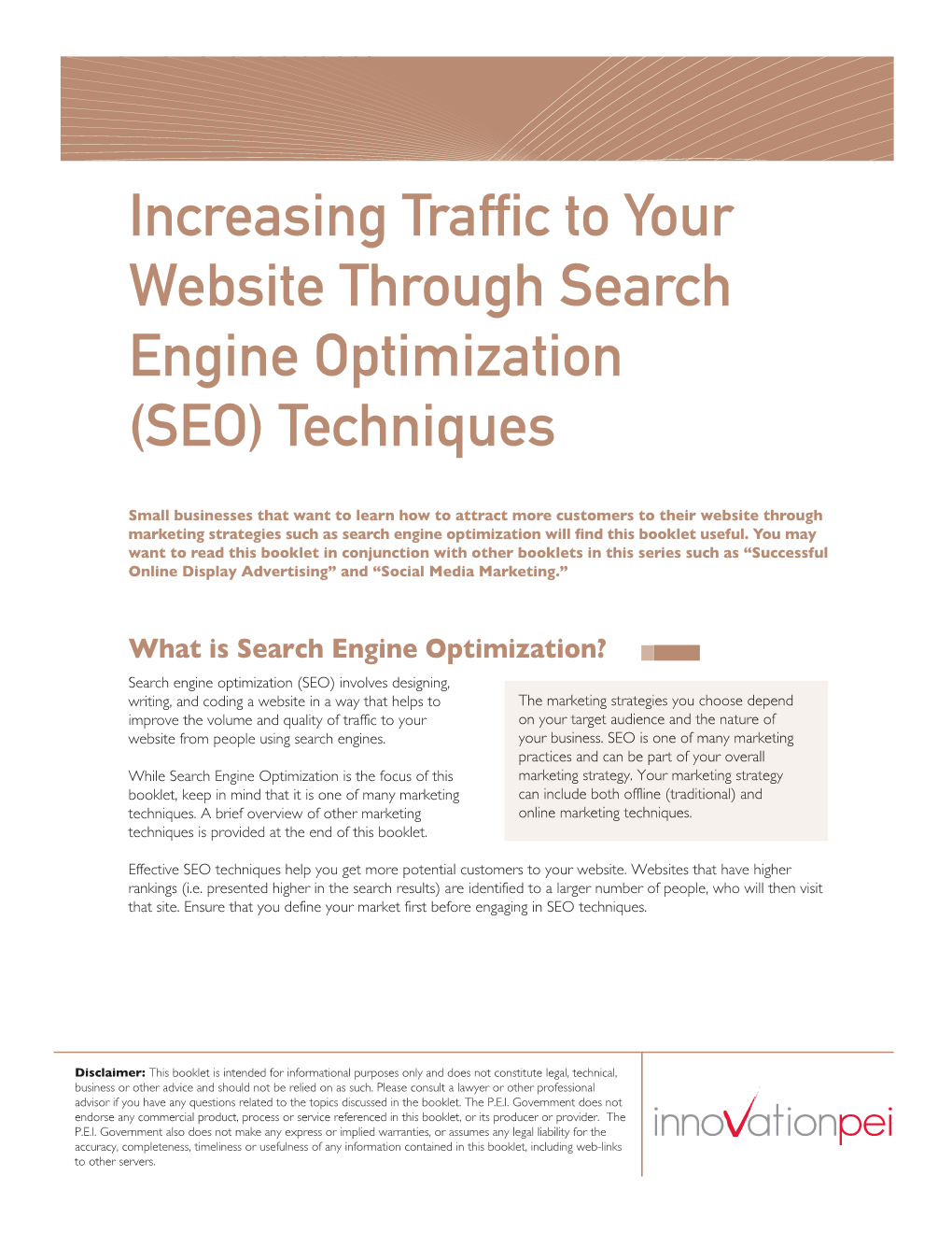 Search Engine Optimization (SEO) Techniques