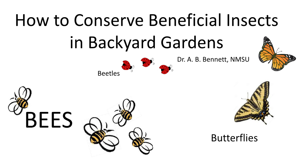 How to Conserve Beneficial Insects in Backyard Gardens Dr