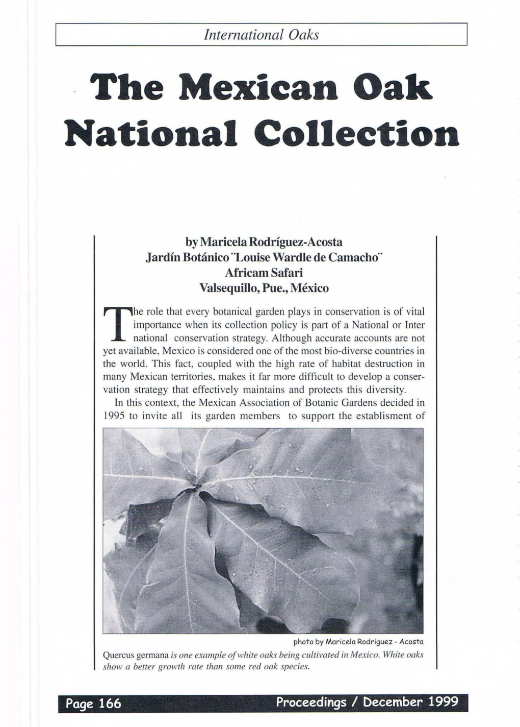 The Mexican Oak National Collection