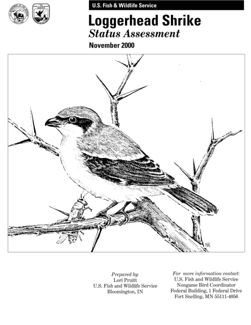 Loggerhead Shrike Status Assessment