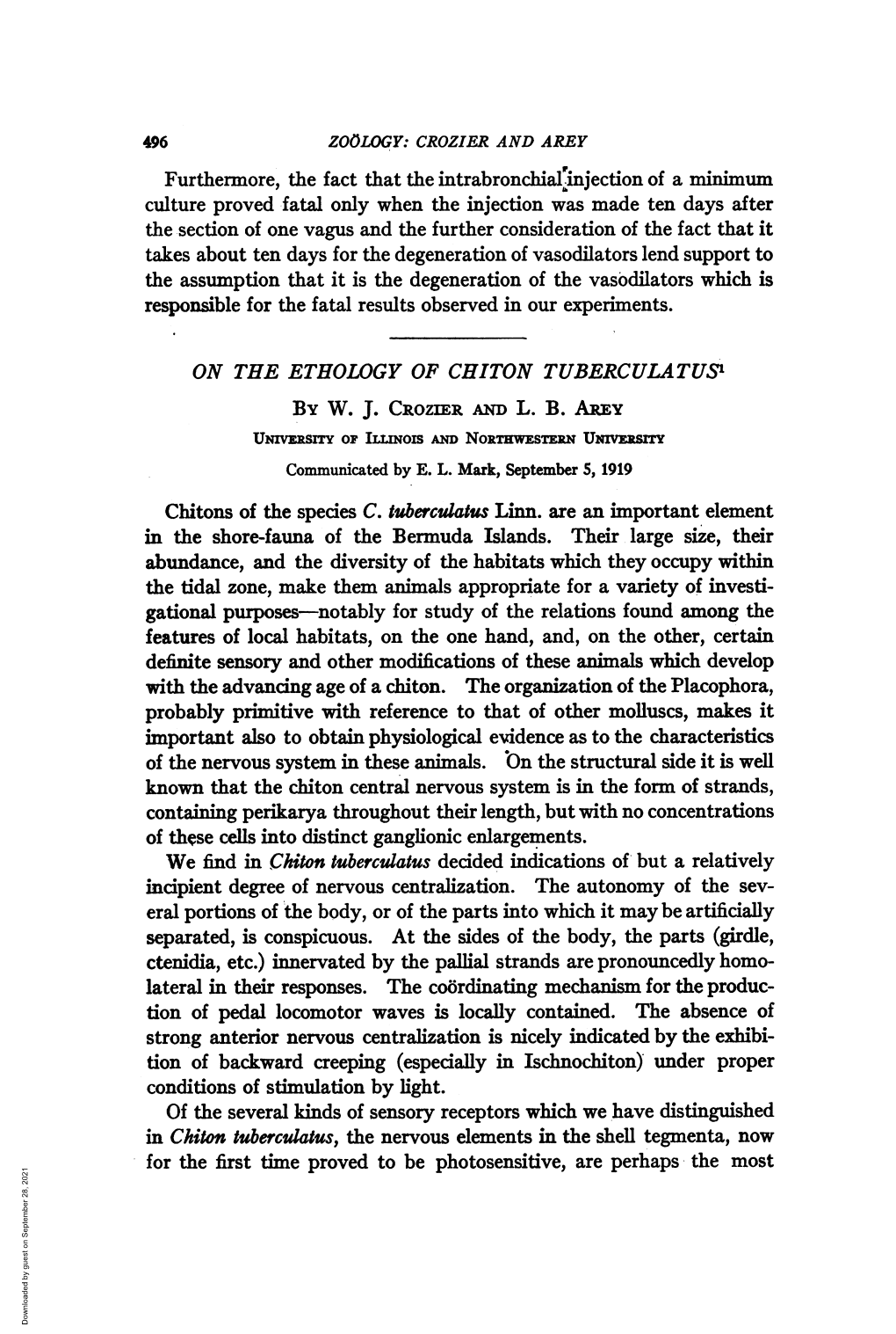 With the Advancing Ageof a Chiton. the Organizationof the Placophora