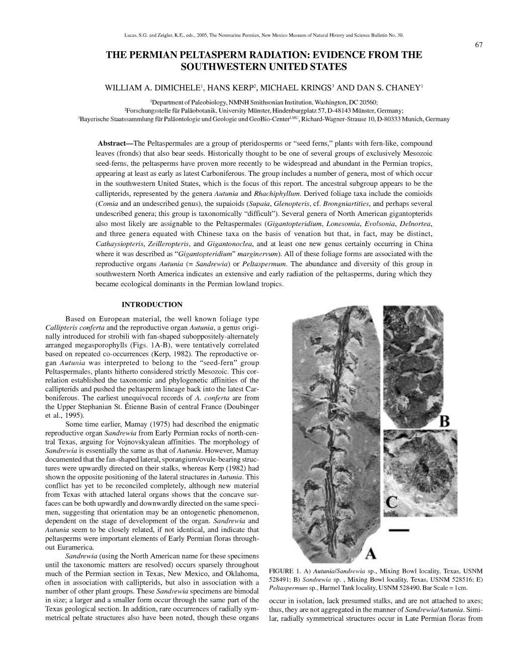 The Permian Peltasperm Radiation: Evidence from the Southwestern United States