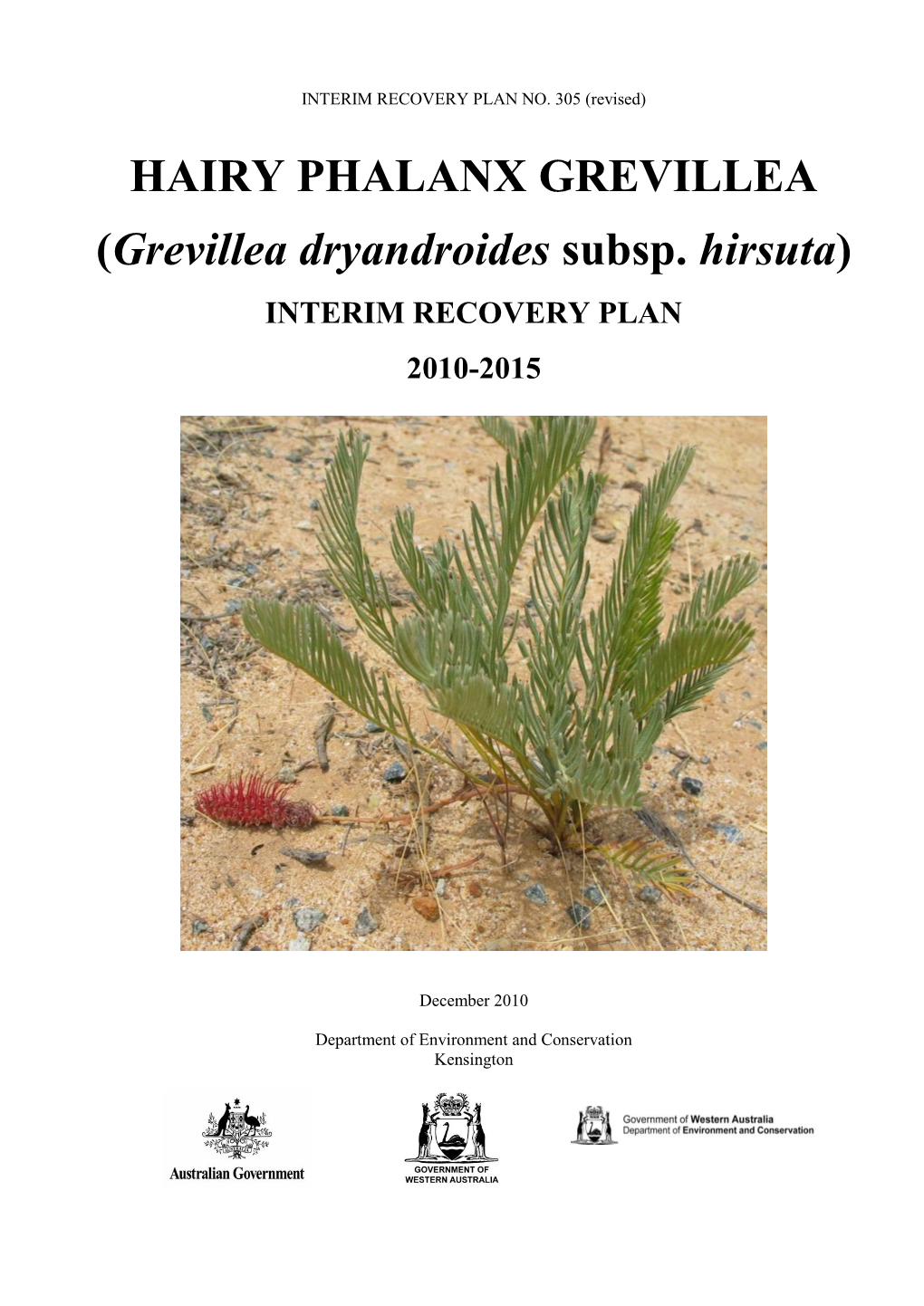 Grevillea Dryandroides Subsp. Hirsuta)