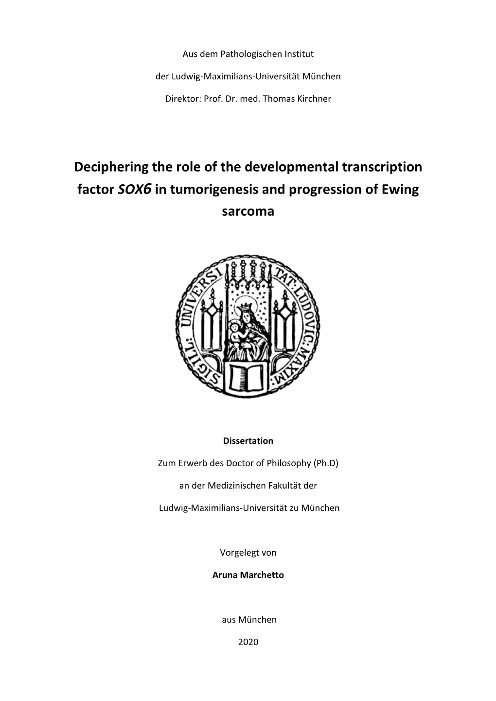 Deciphering the Role of the Developmental Transcription Factor SOX6 in Tumorigenesis and Progression of Ewing Sarcoma