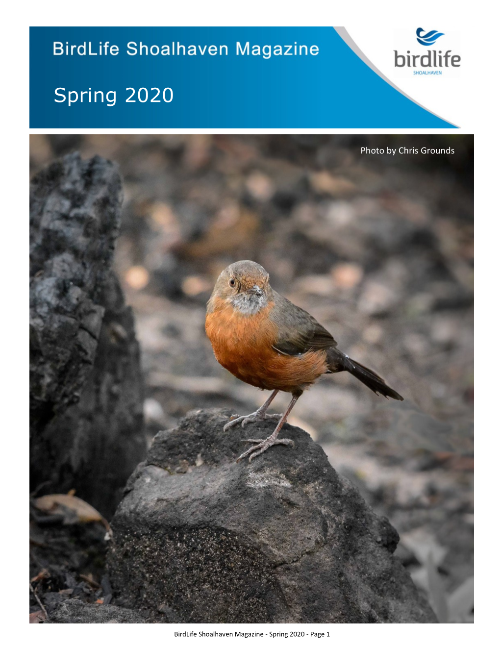 Spring 2020 - Page 1