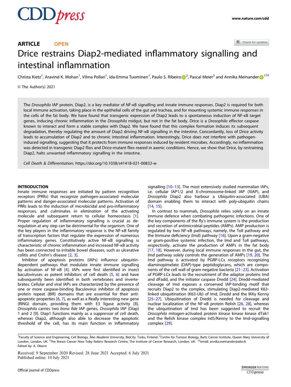 Drice Restrains Diap2-Mediated Inflammatory Signalling And