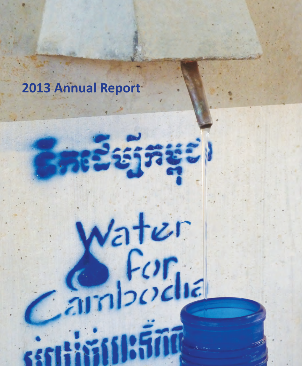 2013 Annual Report