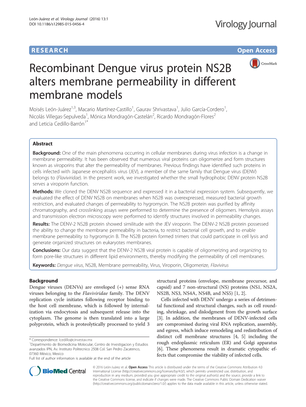 Recombinant Dengue Virus Protein NS2B Alters Membrane