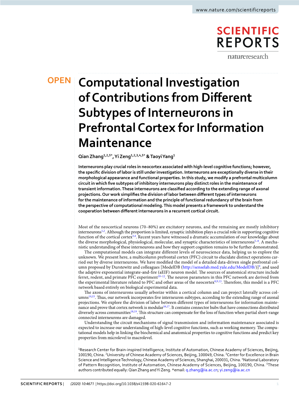 Computational Investigation of Contributions from Different Subtypes of Interneurons in Prefrontal Cortex for Information Mainte