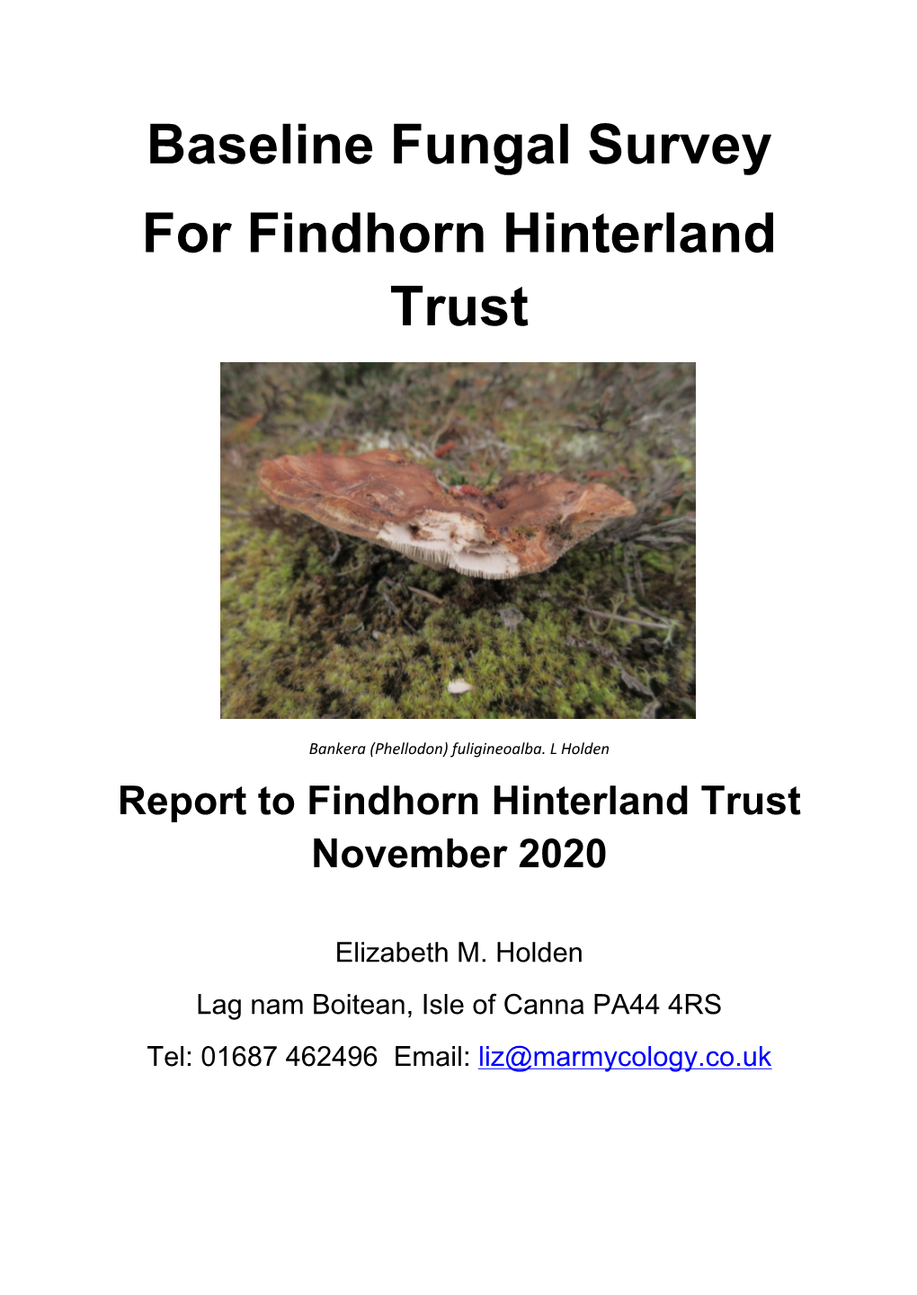 FHT Baseline Fungal Survey Nov 2020