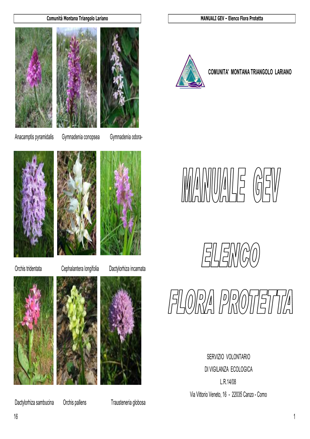 Elenco Flora Protetta