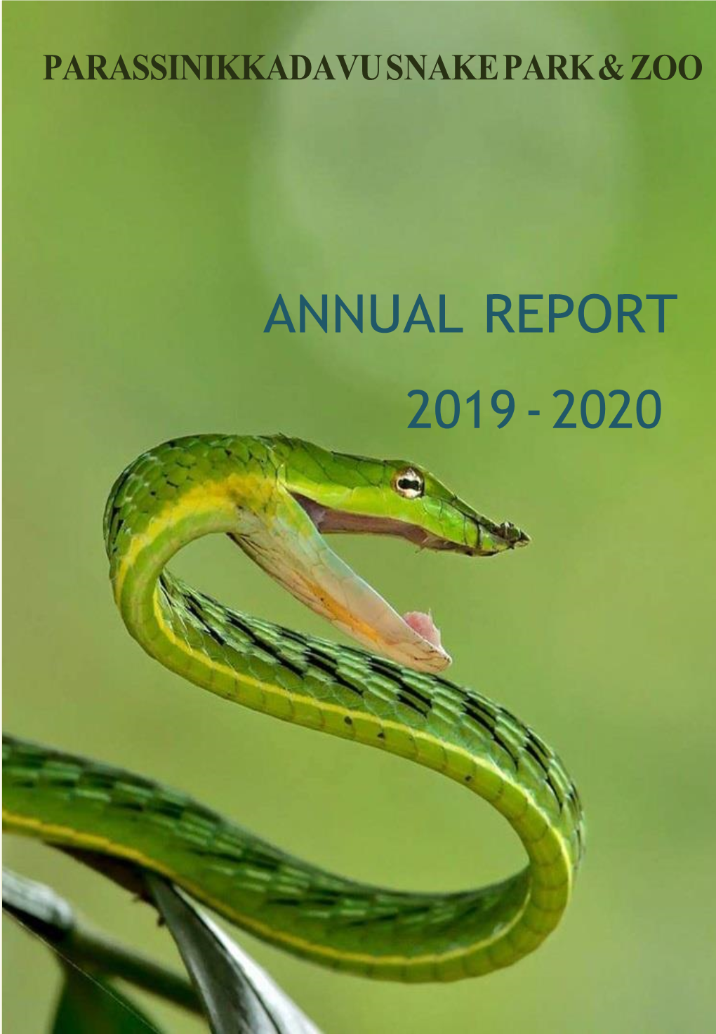 Annual Report 2019 - 2020