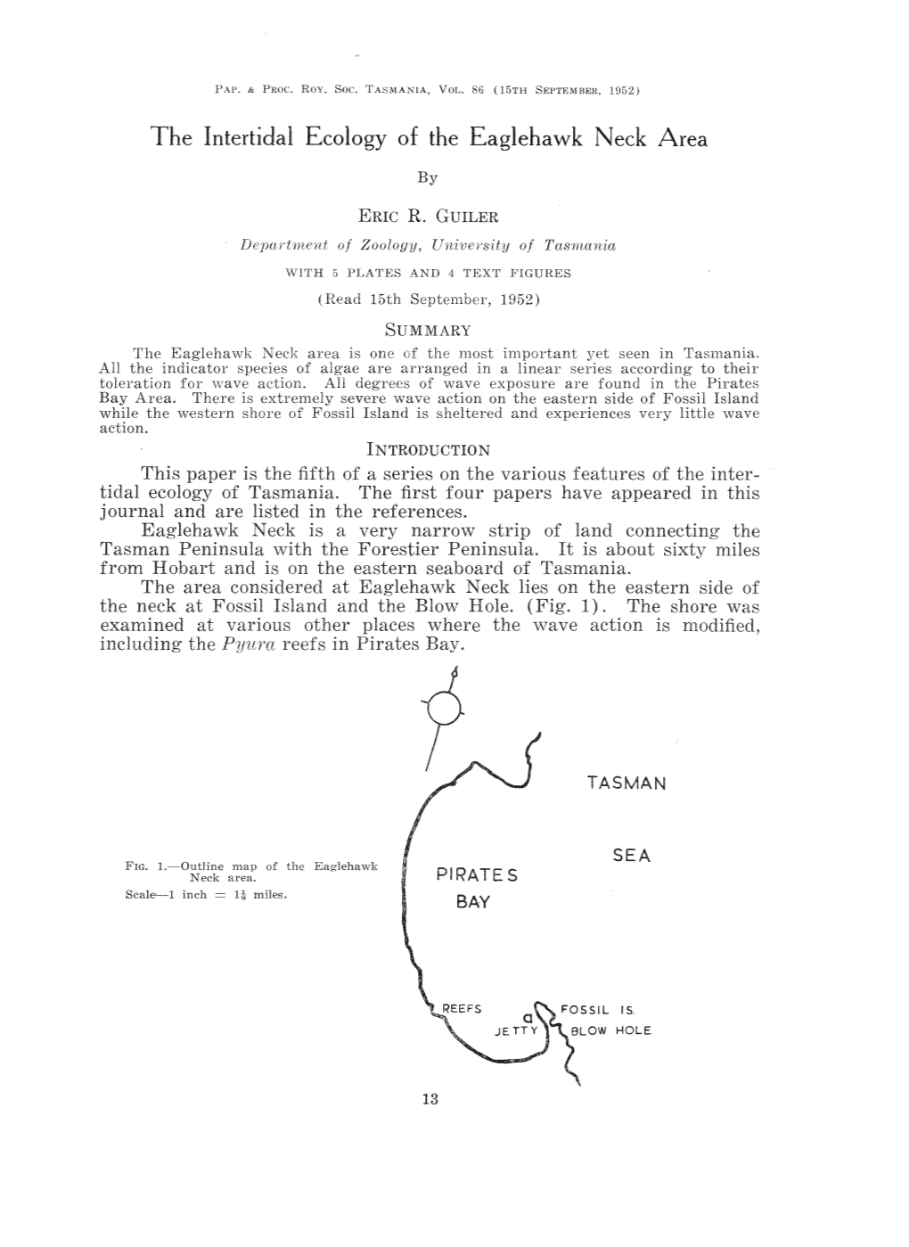 The Intertidal Ecology of the Eaglehawk Neck Area