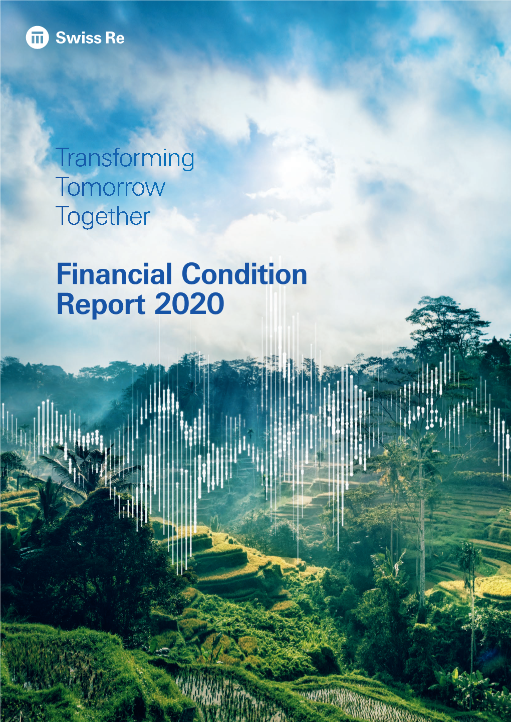 Financial Condition Report 2020