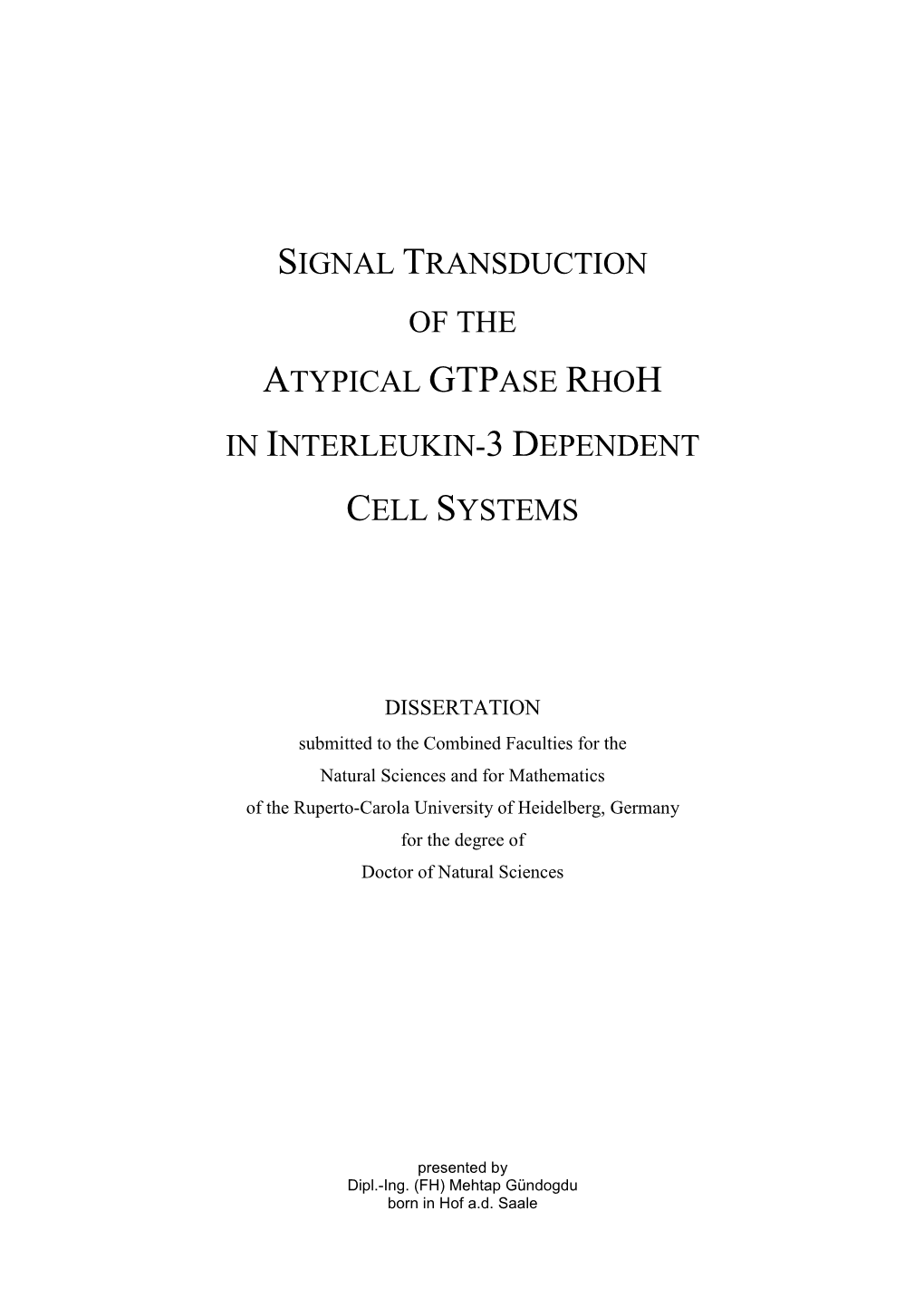 Signal Transduction of the Atypical Gtpase Rhoh in Interleukin-3 Dependent Cell Systems