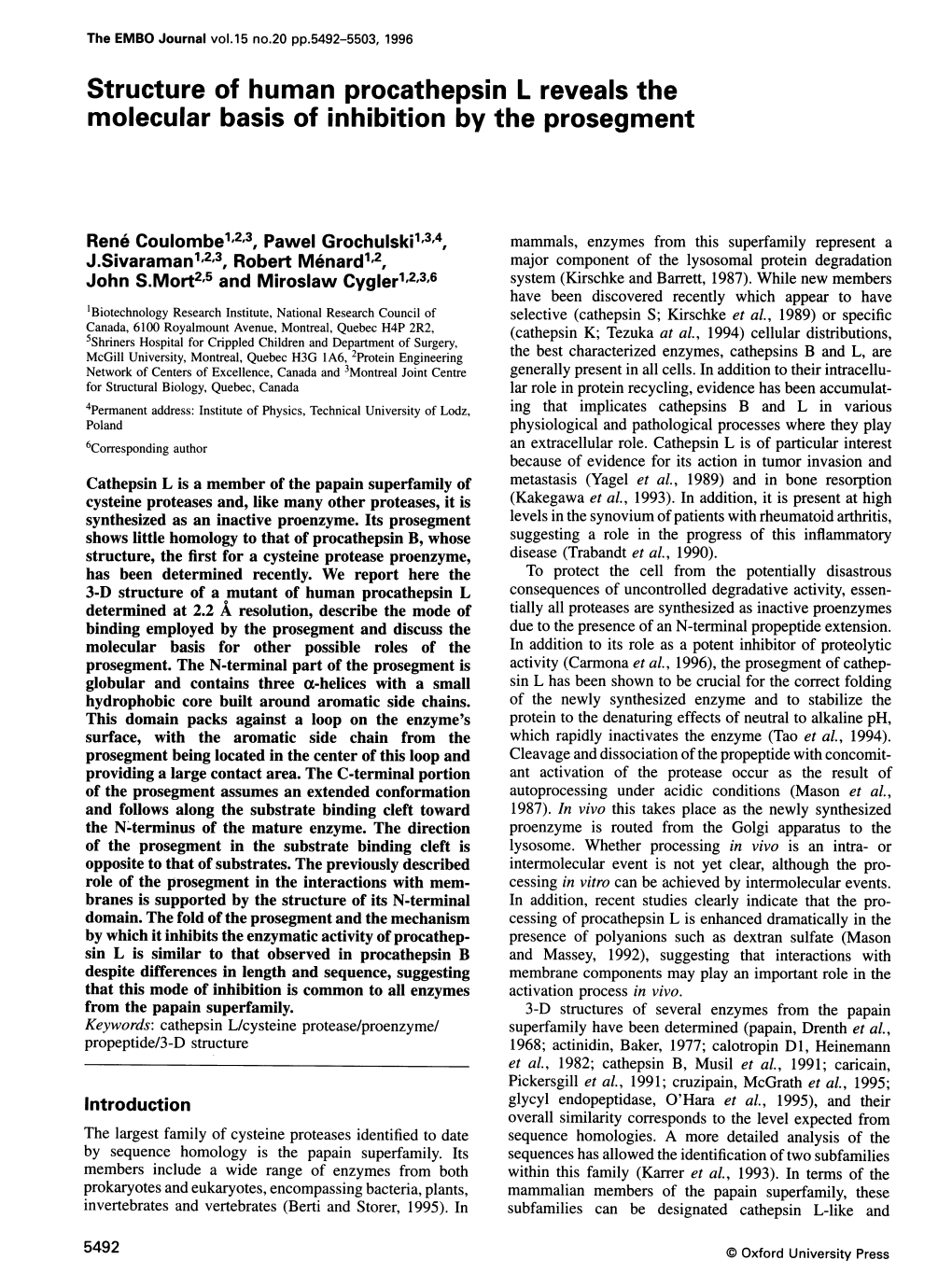 Structure of Human Procathepsin L Reveals the Molecular Basis of Inhibition by the Prosegment