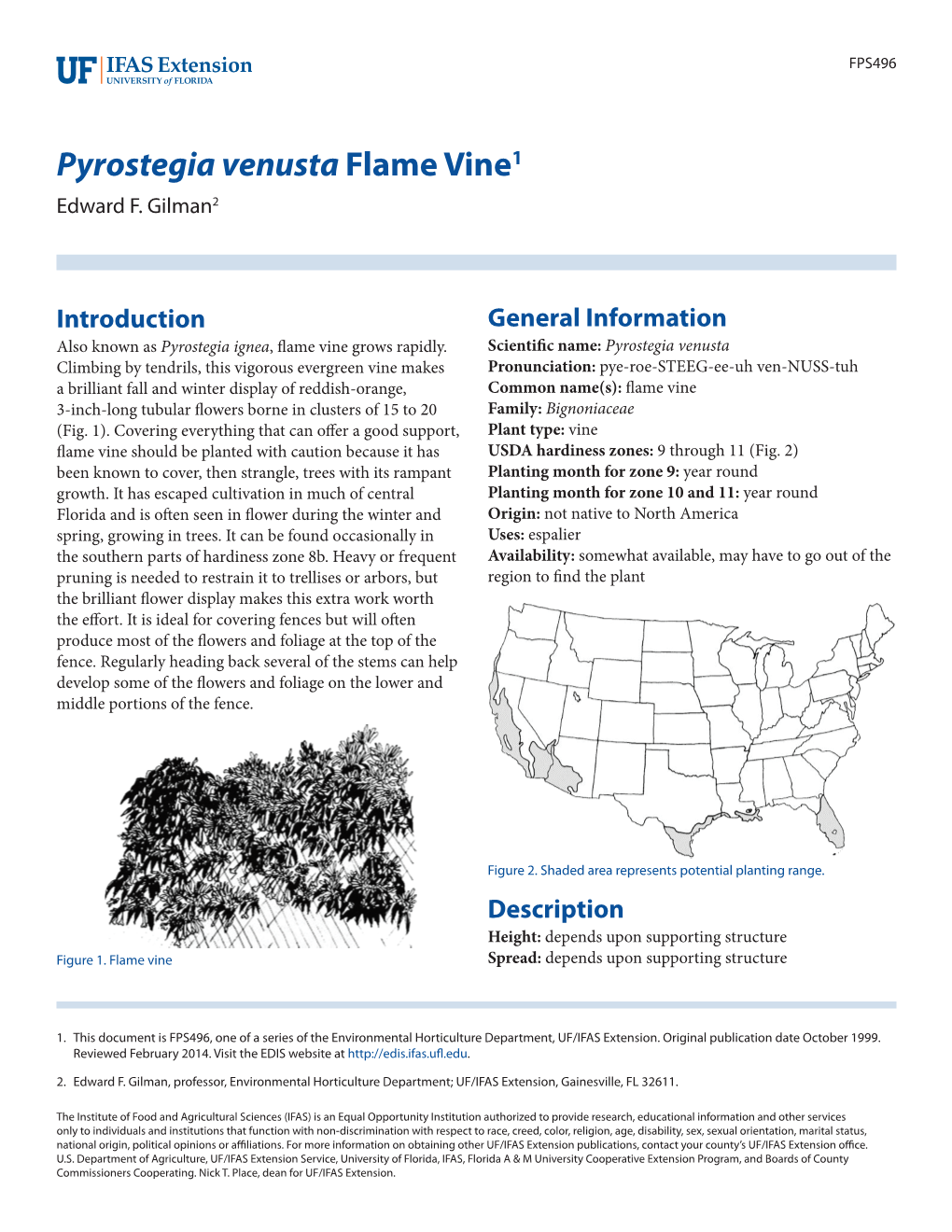 Pyrostegia Venusta Flame Vine1 Edward F