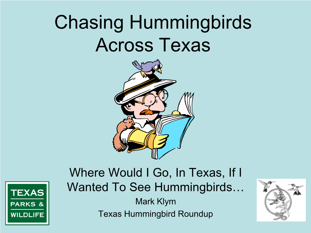 Chasing Hummingbirds Across Texas