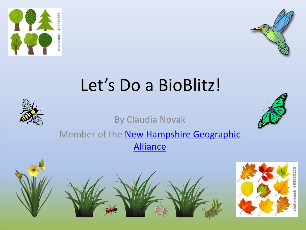 Let's Do a Bioblitz