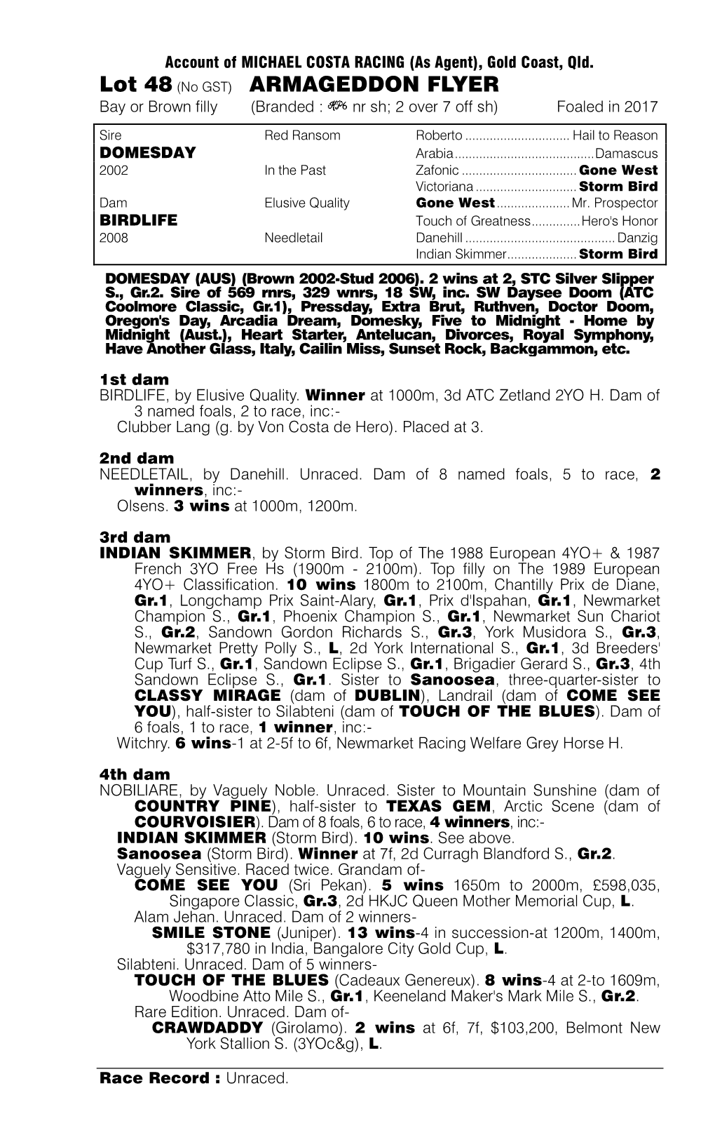 ARMAGEDDON FLYER Bay Or Brown Filly (Branded : Nr Sh; 2 Over 7 Off Sh) Foaled in 2017