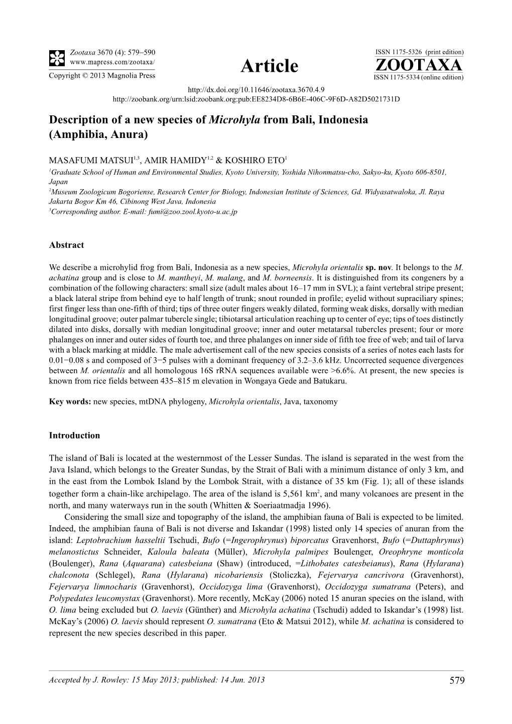 Description of a New Species of Microhyla from Bali, Indonesia (Amphibia, Anura)