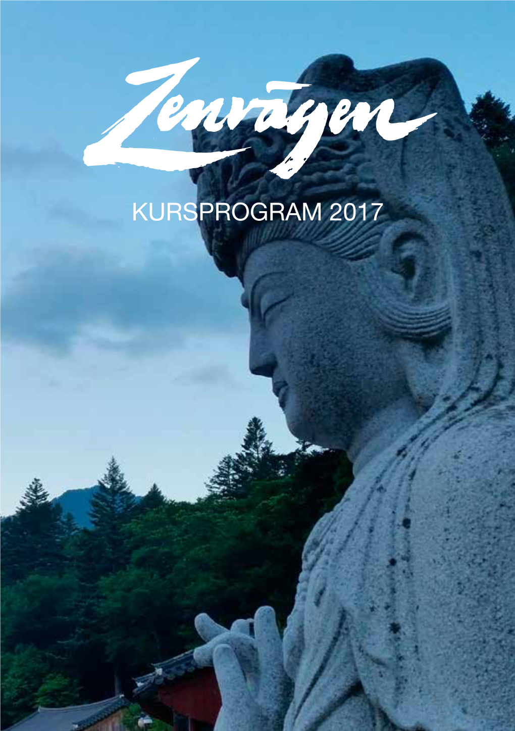 Kursprogram 2017