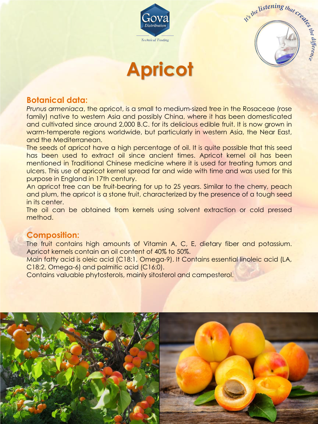 Apricot-1902