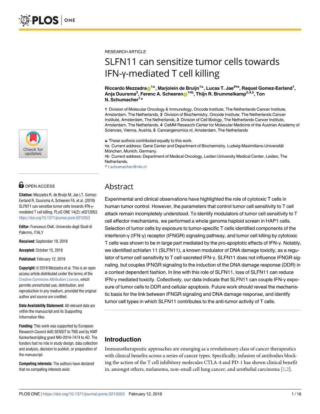SLFN11 Can Sensitize Tumor Cells Towards IFN-Γ-Mediated T Cell Killing