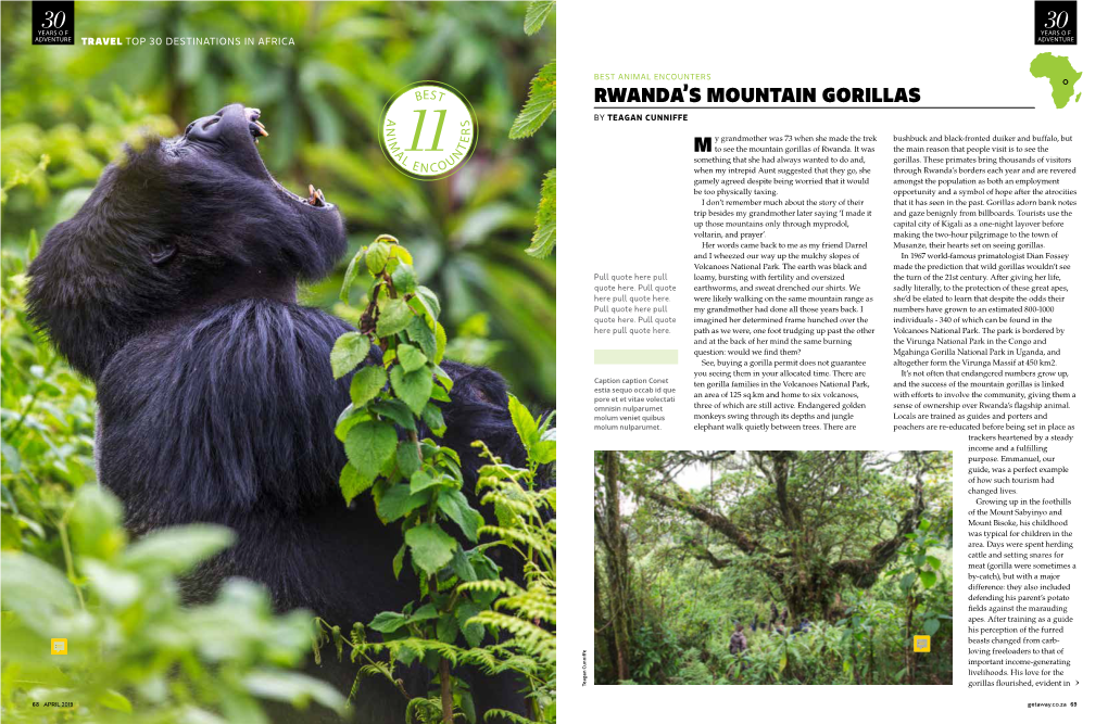Rwanda's Mountain Gorillas M