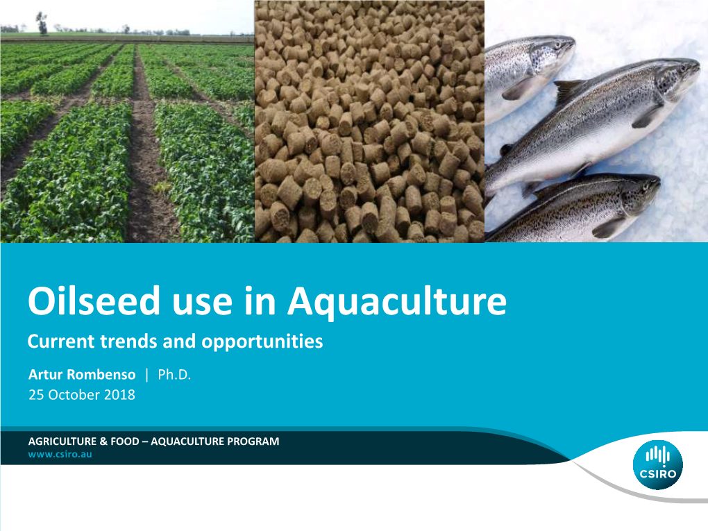 Oilseed Use in Aquaculture Current Trends and Opportunities Artur Rombenso | Ph.D