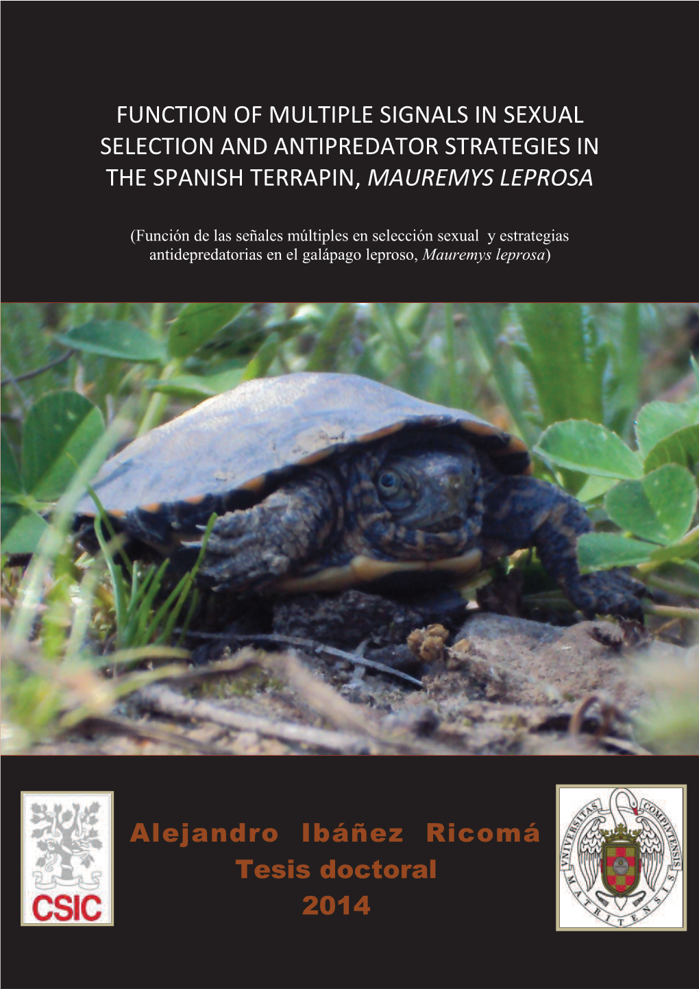 Function of Multiple Signals in Sexual Selection and Antipredator Strategies in the Spanish Terrapin, Mauremys Leprosa