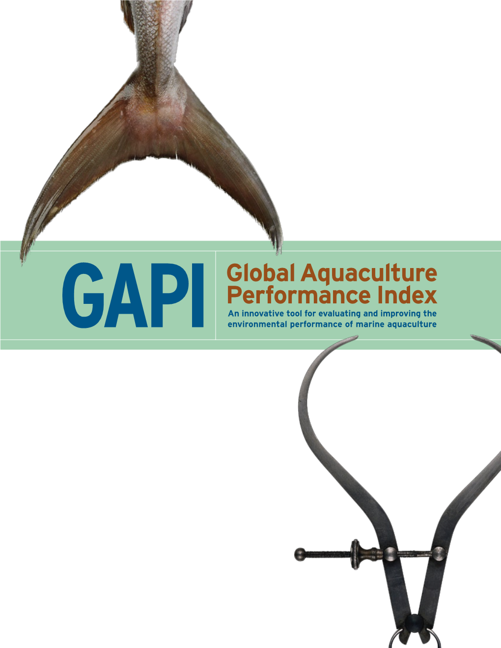Gapiglobal Aquaculture Performance Index