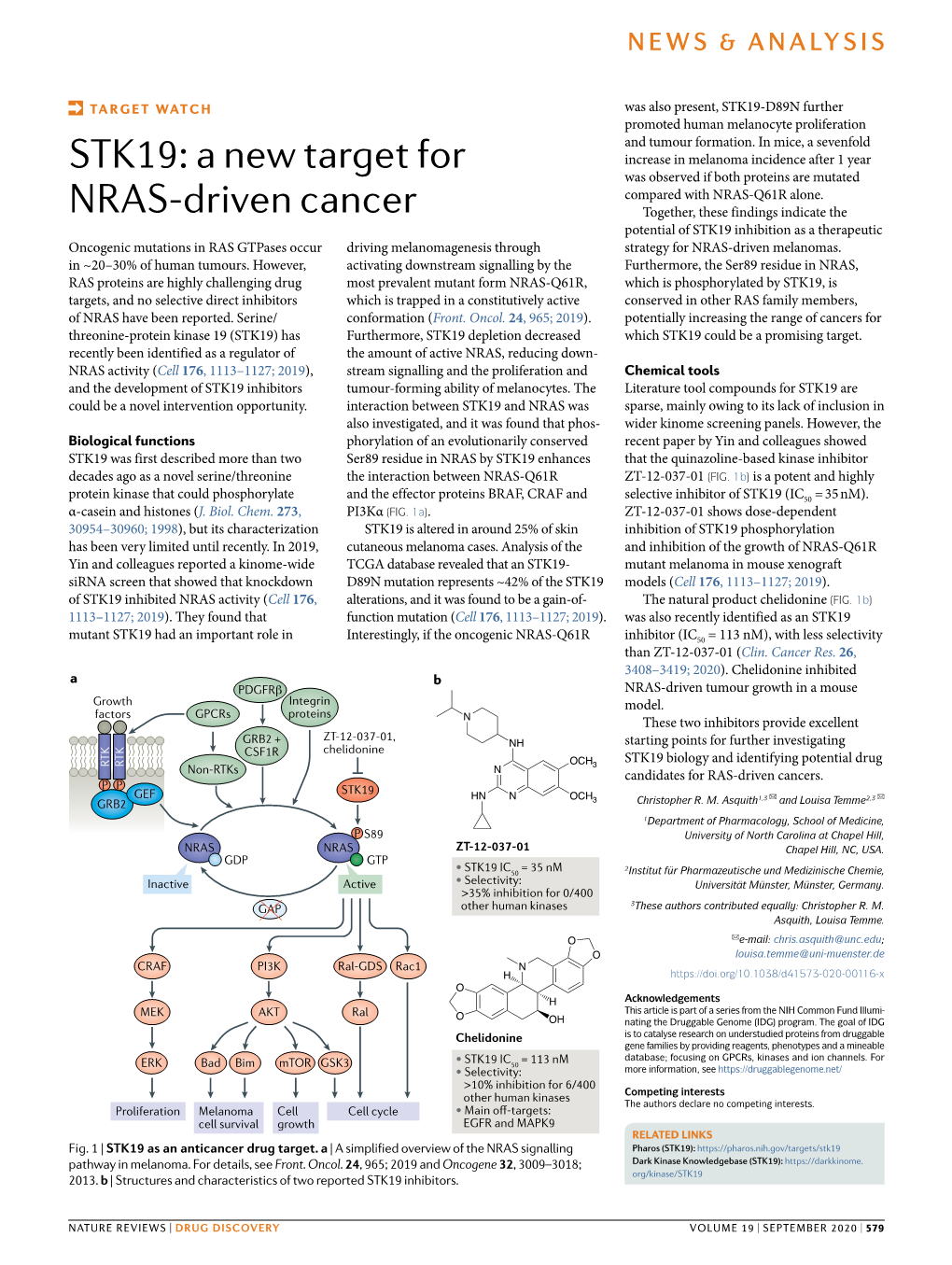 STK19-D89N​ Further Pro­Moted Human Melanocyte Proliferation and Tumour Formation