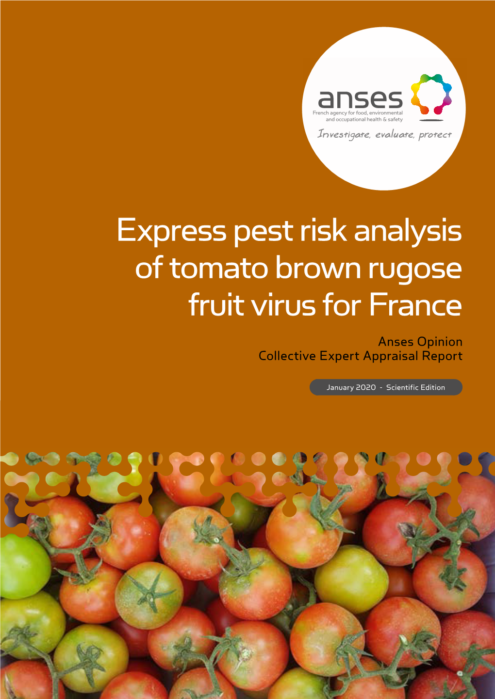 Express Pest Risk Analysis of Tomato Brown Rugose Fruit Virus for France"