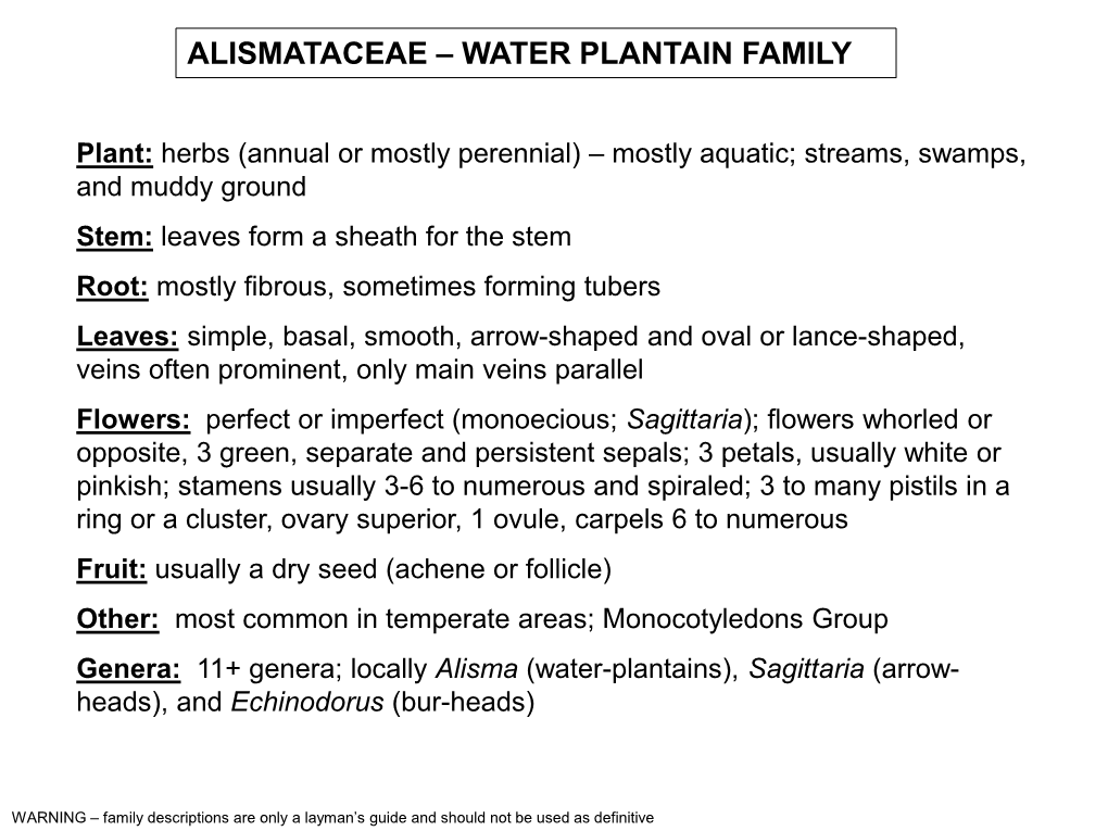 Alismataceae – Water Plantain Family