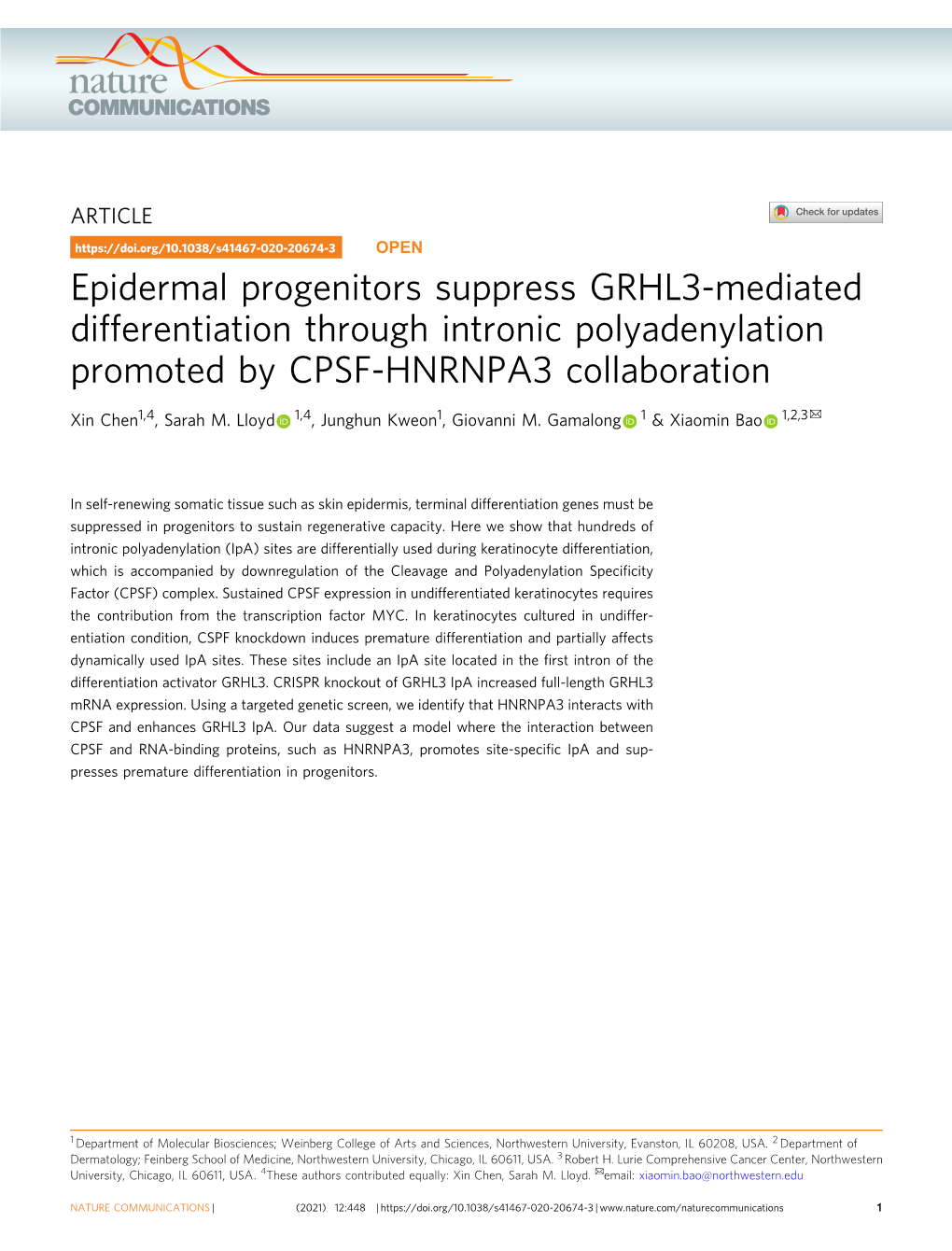 Epidermal Progenitors Suppress GRHL3-Mediated Differentiation Through Intronic Polyadenylation Promoted by CPSF-HNRNPA3 Collaboration ✉ Xin Chen1,4, Sarah M