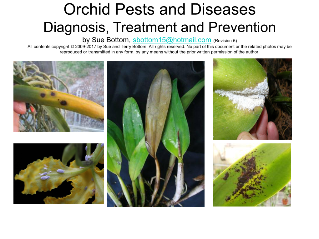 Orchid Pests and Diseases Diagnosis, Treatment and Prevention