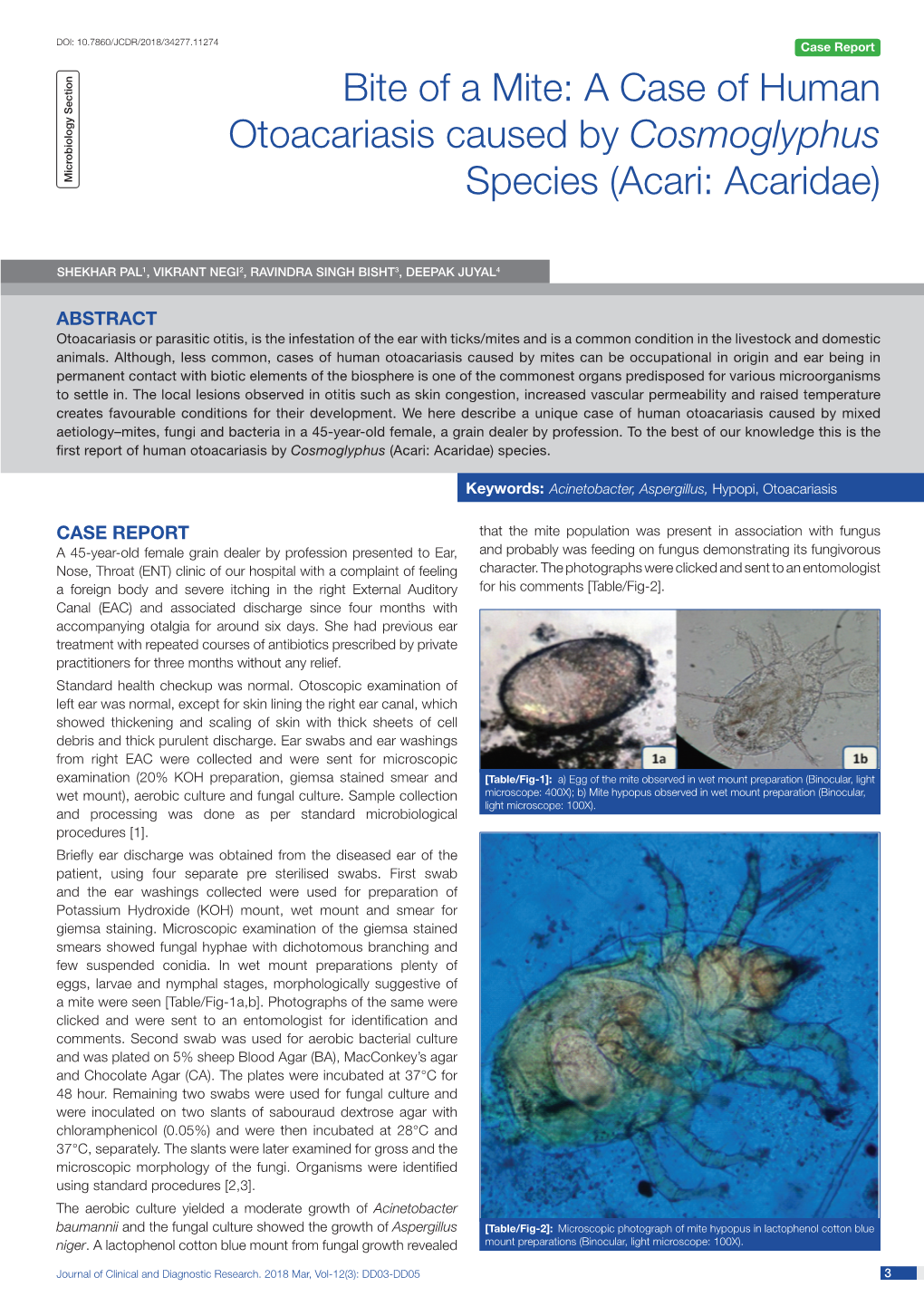 Bite of a Mite: a Case of Human Otoacariasis Caused by Cosmoglyphus