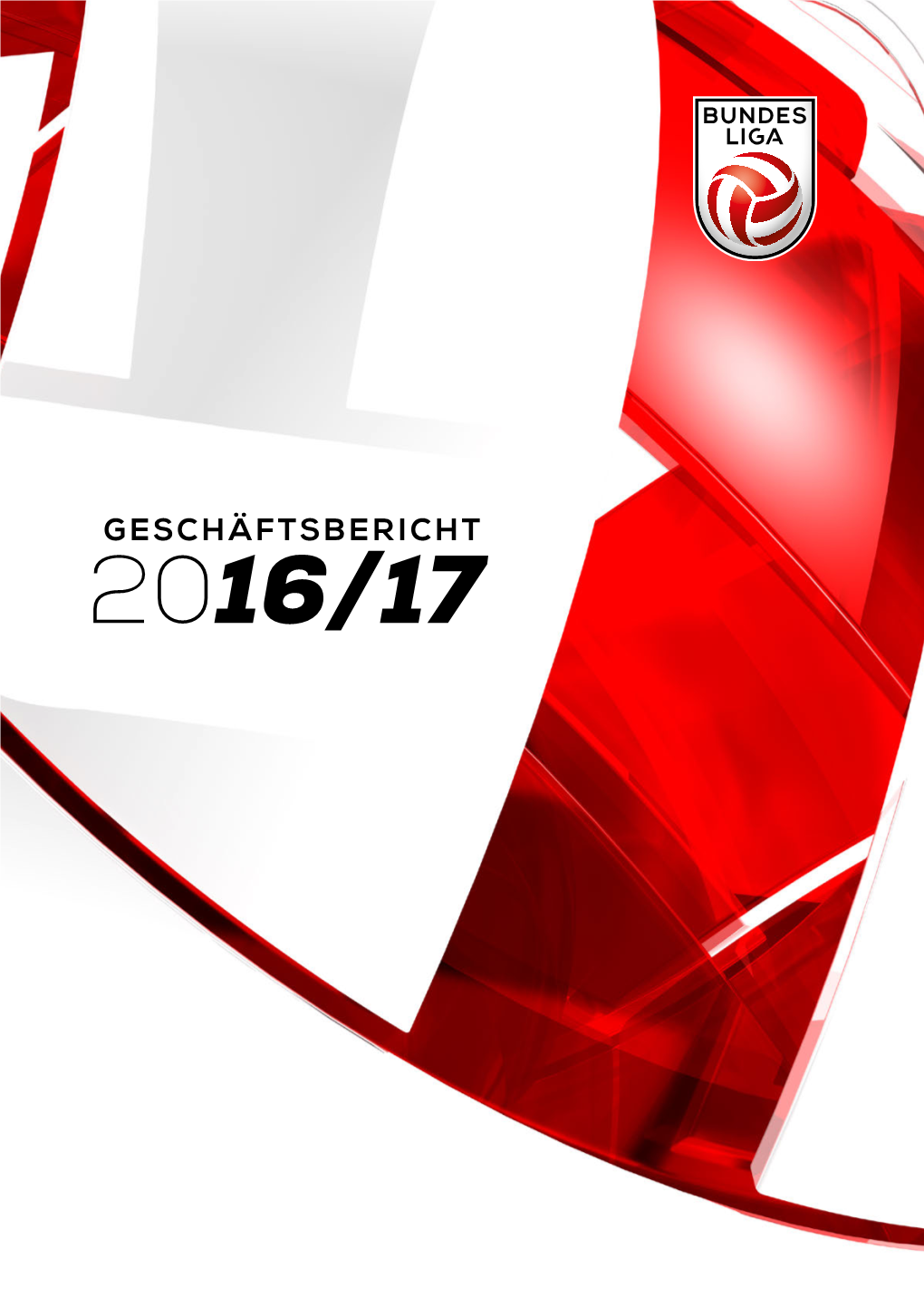 Geschäftsbericht Saison 2016/2017