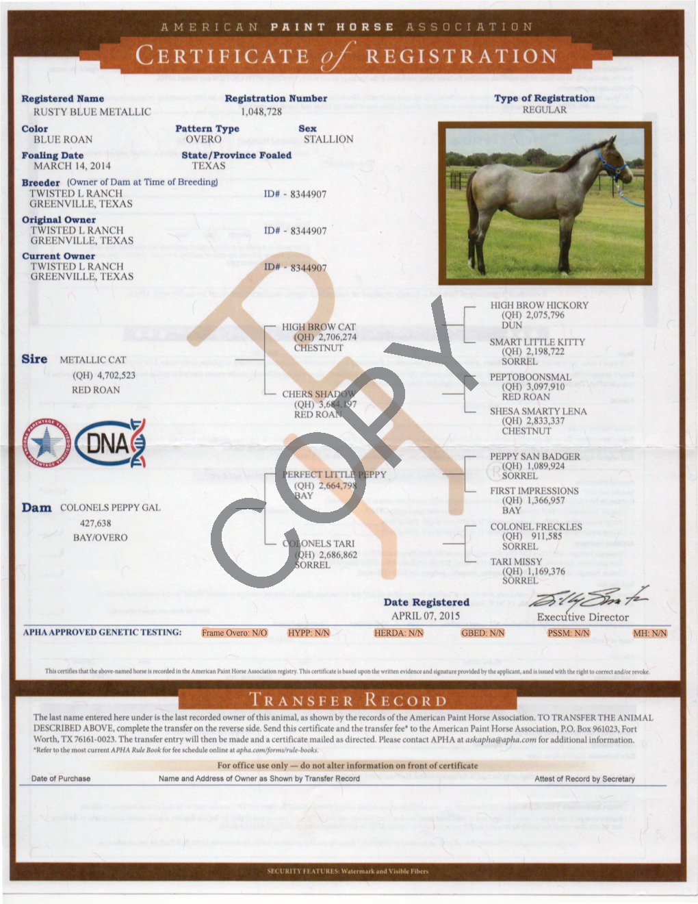 View APHA Papers & DNA Results
