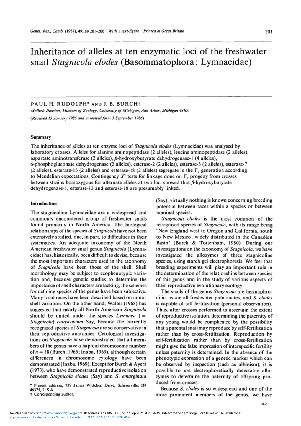 Inheritance of Alleles at Ten Enzymatic Loci of the Freshwater Snail Stagnicola Elodes (Basommatophora: Lymnaeidae)