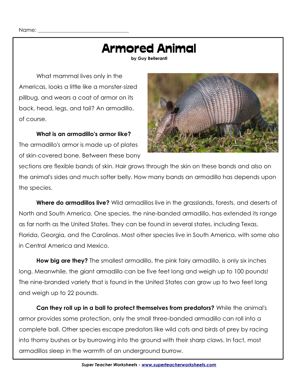 Armored Animal by Guy Belleranti