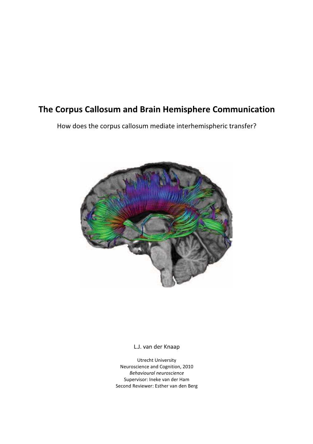 The Corpus Callosum and Brain Hemisphere Communication